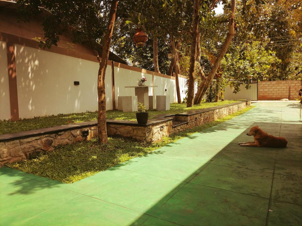 Ceylonima Home Stay Anuradhapura Exteriör bild