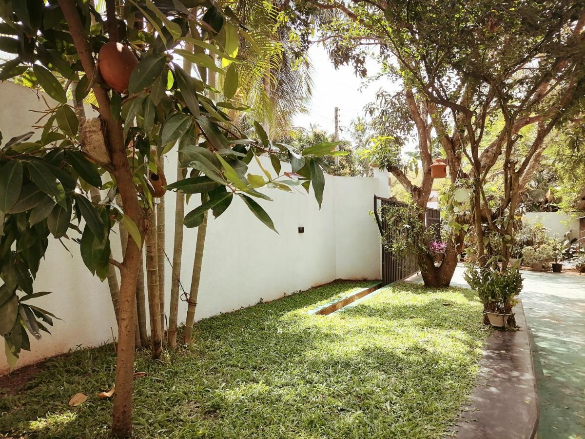 Ceylonima Home Stay Anuradhapura Exteriör bild