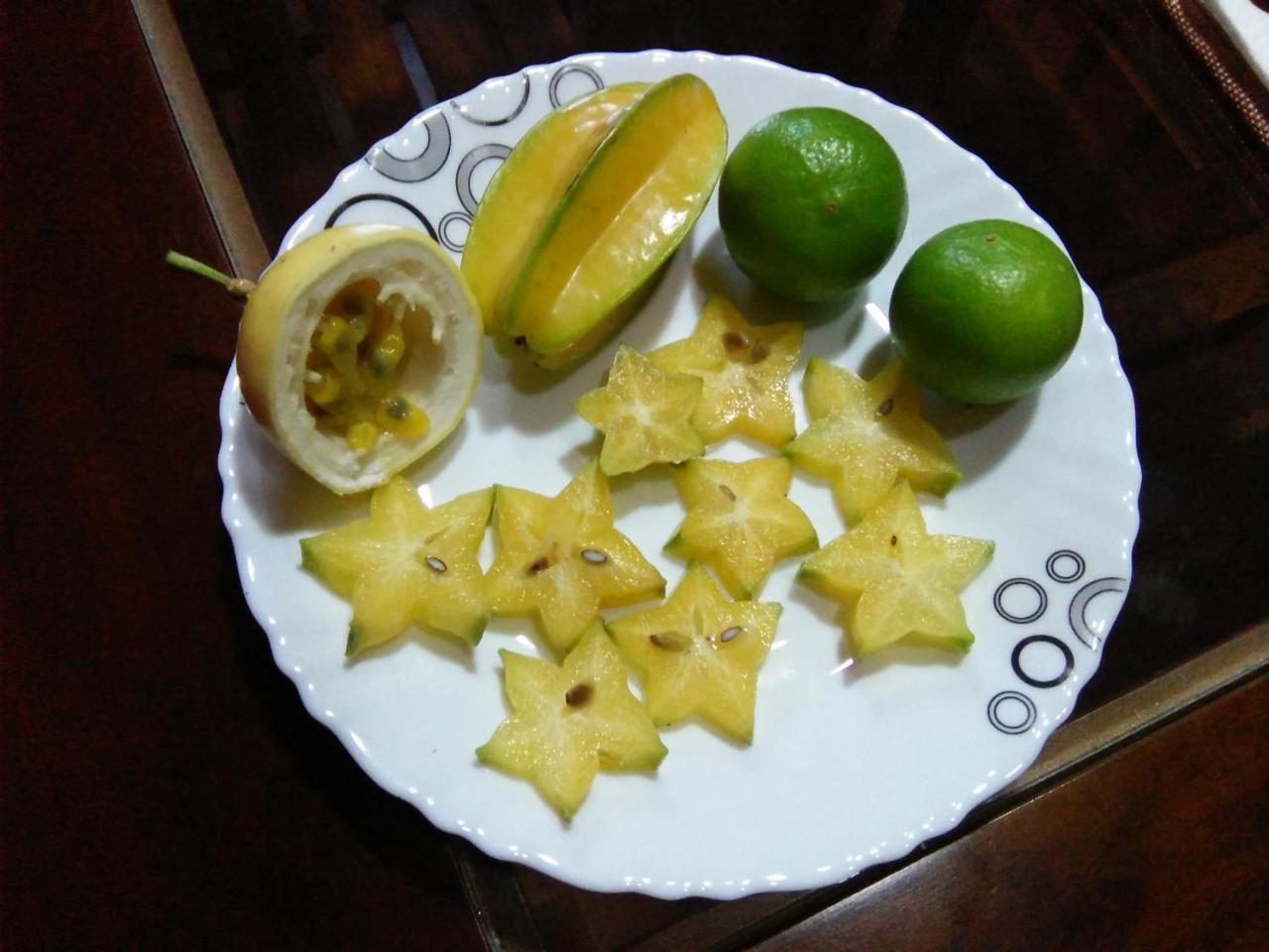 Ceylonima Home Stay Anuradhapura Exteriör bild